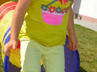 DSC_2010