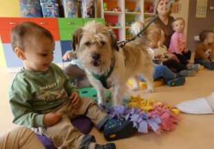 Dogoterapia 23.05.2025