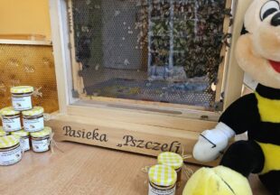 Dzień Pszczelarza